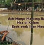 Mimpi Dapat Ikan Lele Banyak Togel 4D